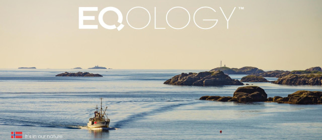 Ako sa zaregistrovať do Eqology – jednoduchý návod krok za krokom Ako sa zaregistrovať do Eqology – jednoduchý návod krok za krokom