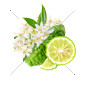 Dámsky parfum Essens w185 Dámsky parfum Essens w185