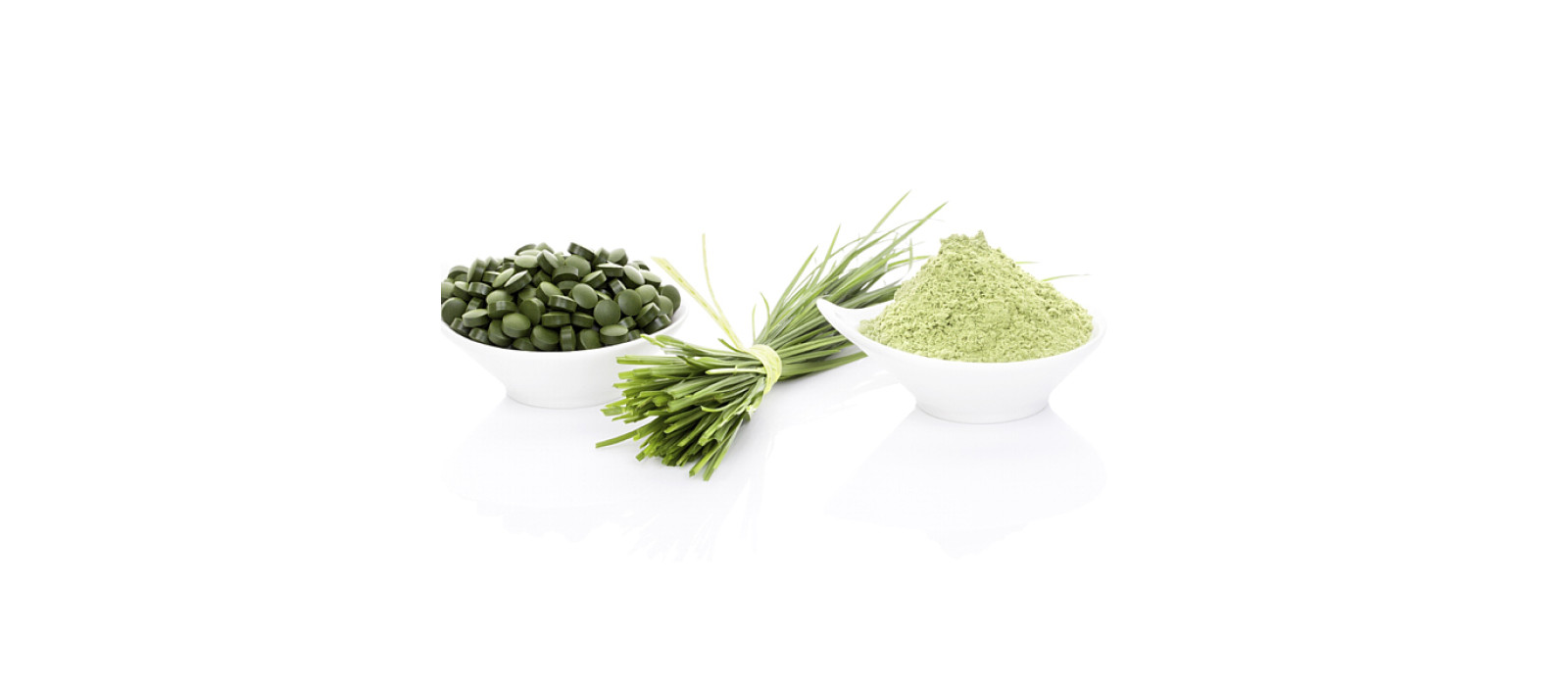 https://www.dobrezdravie.sk/image/cache/catalog/jacmen_chlorella_porovnanie-1600x700.jpg https://www.dobrezdravie.sk/image/cache/catalog/jacmen_chlorella_porovnanie-1600x700.jpg
