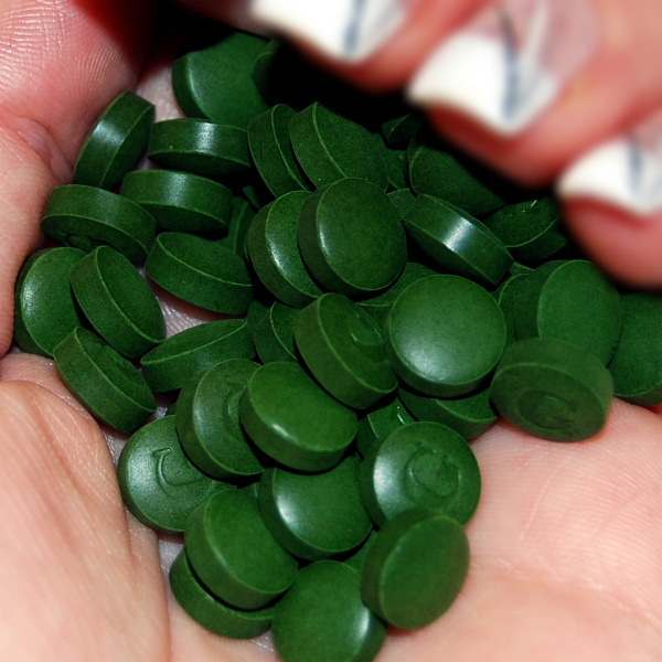 chlorella na dlani